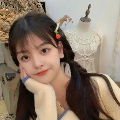 盗影谜情